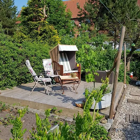 Muschelkaestchen Og *